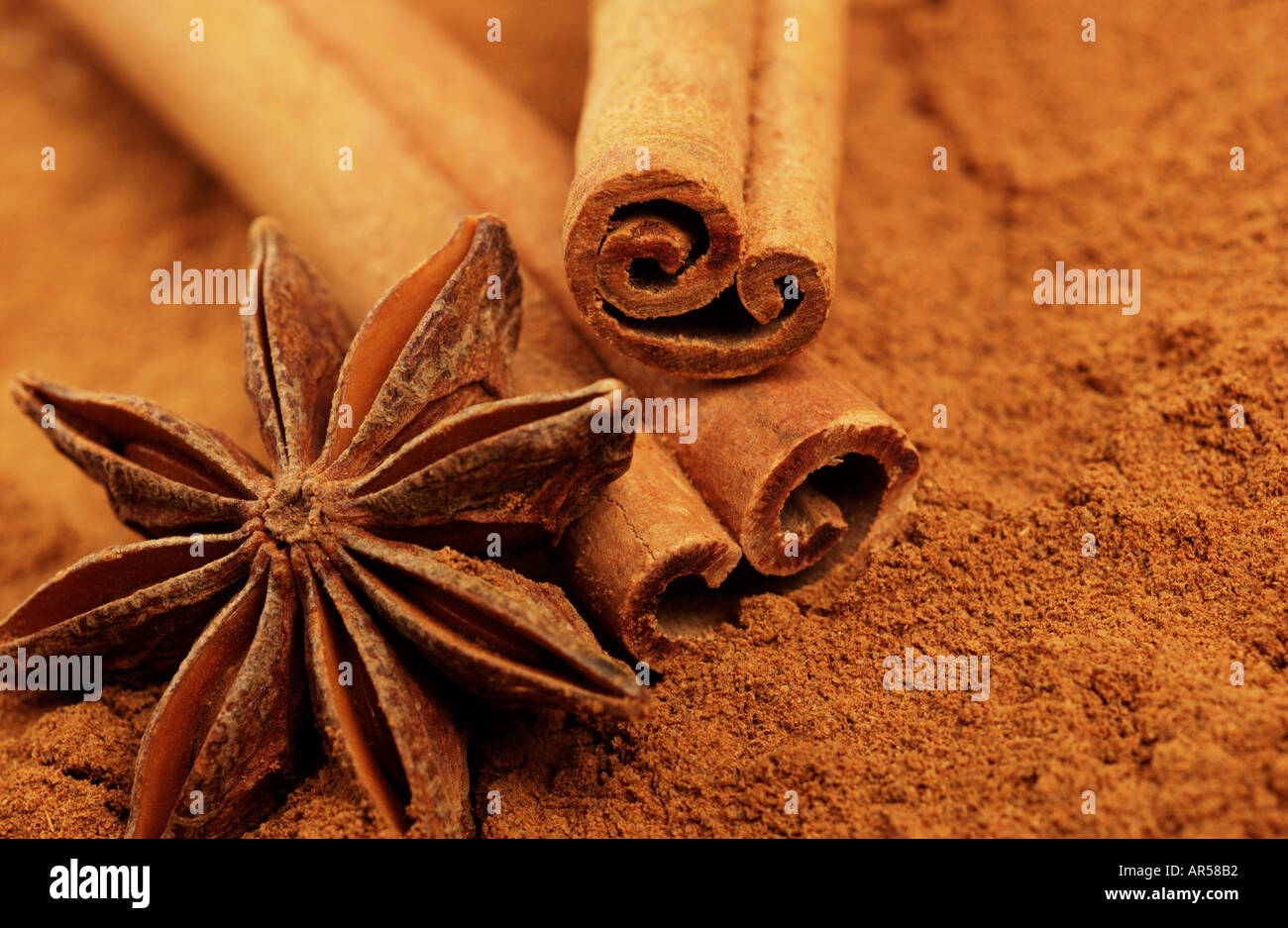 Spices Ground Cinnamon Whole Cinnamon Stick and Whole Star Anise Stock Photo