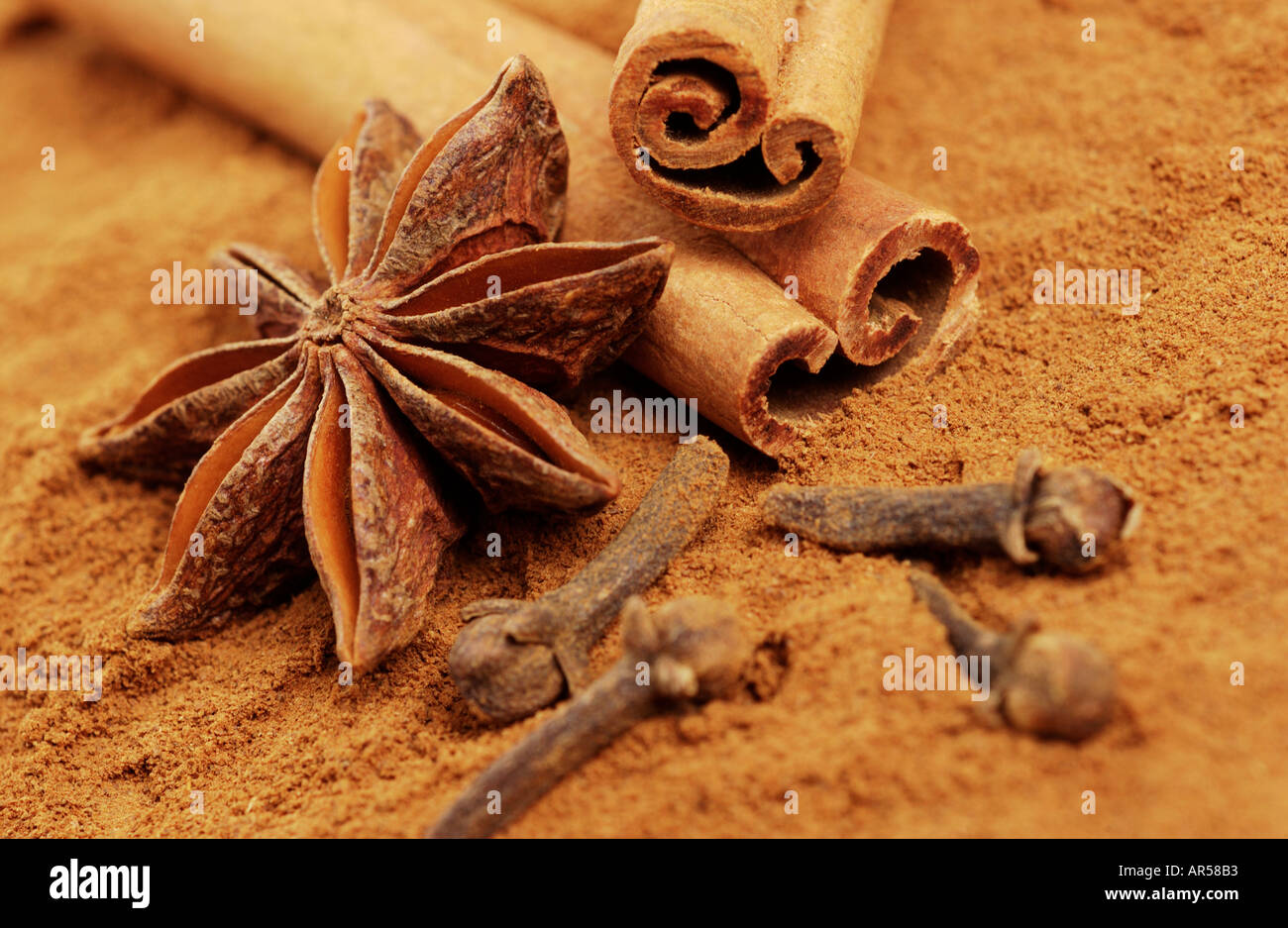 Spices Ground Cinnamon Whole Cinnamon Stick Whole Star Anise and Cloves Stock Photo