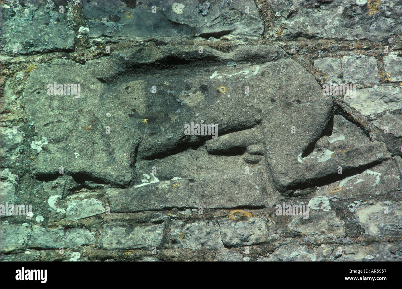 Fertility symbol on exterior wall of 'Church of St James' the 'Great Abson' Somerset England HOMER SYKES Stock Photo
