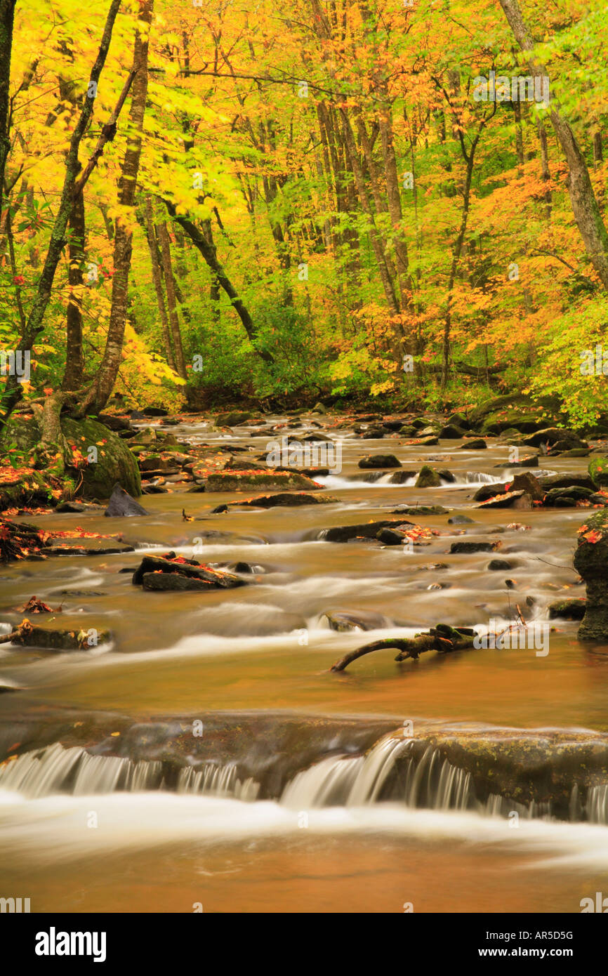 Richwood hires stock photography and images Alamy