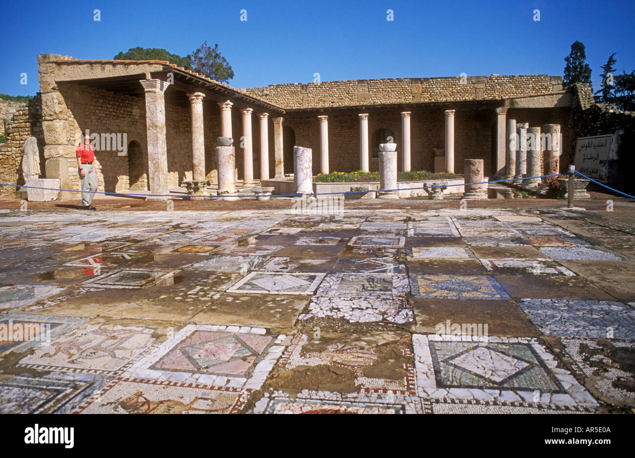 Floor mosaics Carthage Tunisia Stock Photo