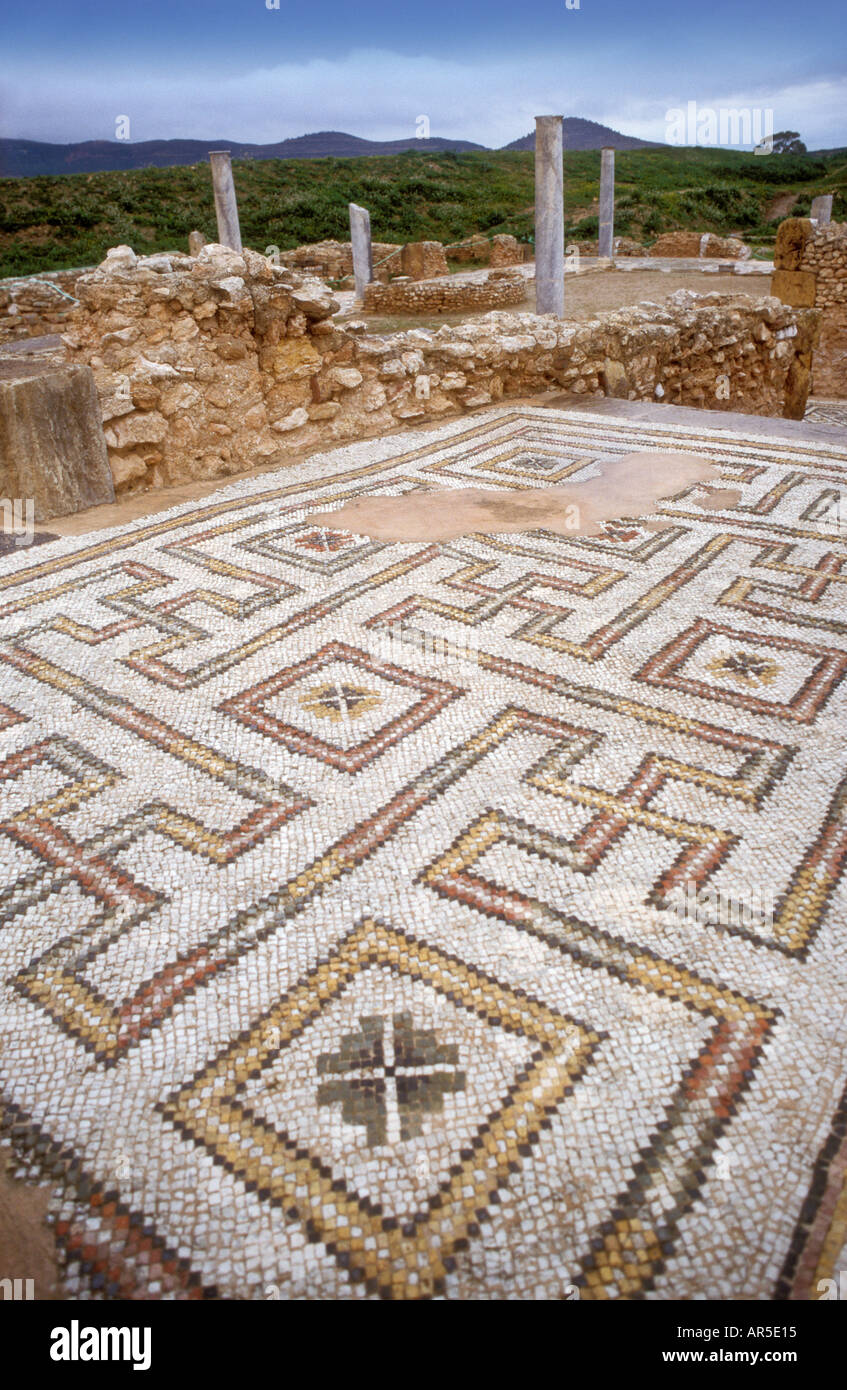 Ancient Roman Mosaic Floor High Resolution Stock Photography and Images ... image.