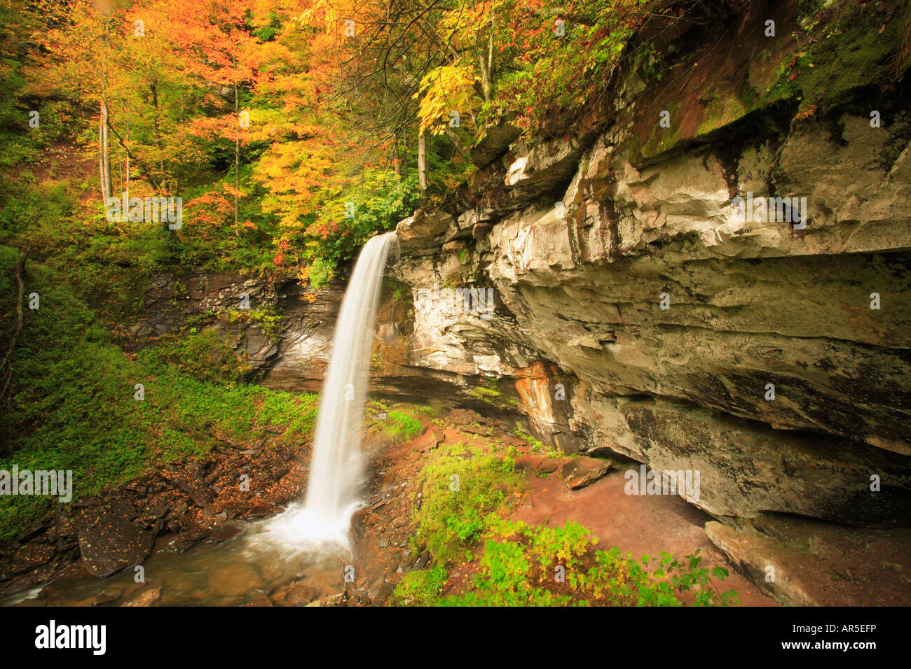 Lower Falls, Falls of Hills Creek, Richwood, West Virginia, USA Stock