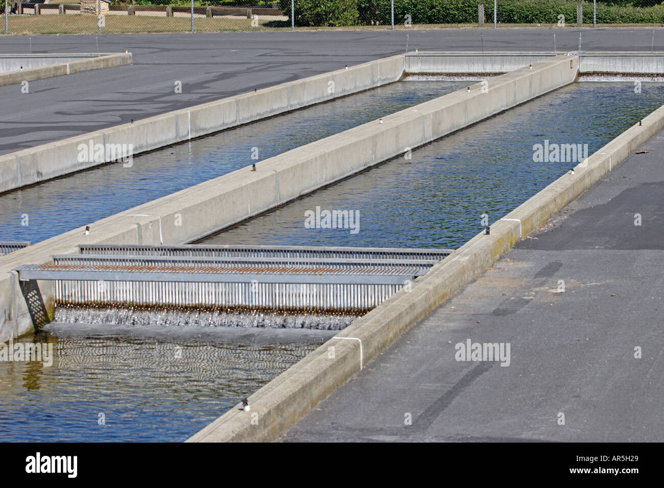 Pequest Trout Hatchery in New Jersey Stock Photo Alamy