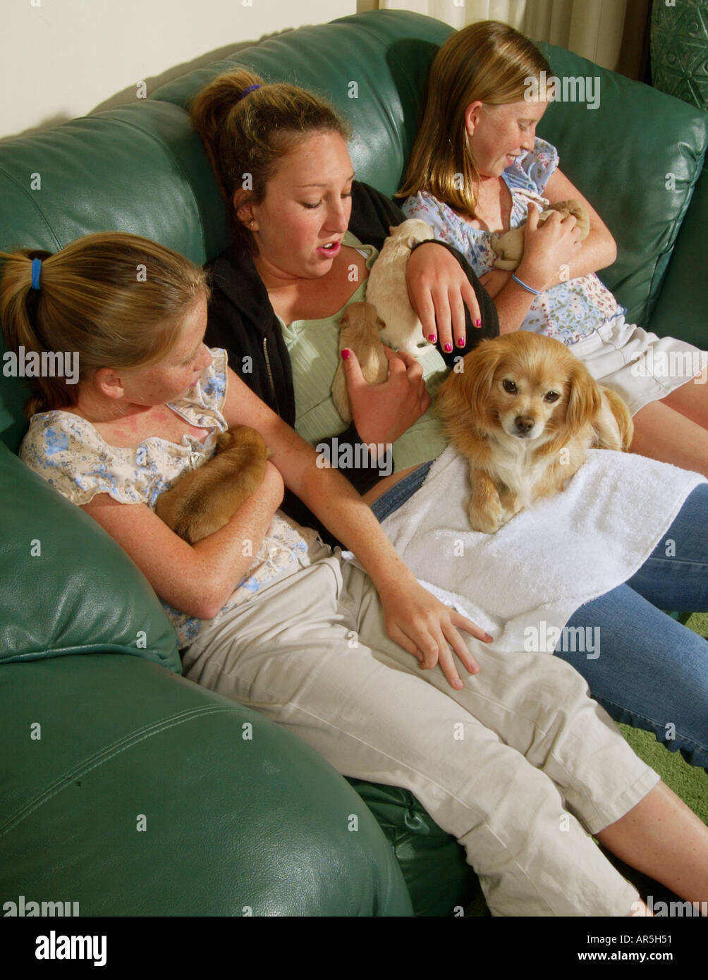 Identical twins and their older sister cuddle newborn puppies while the ...