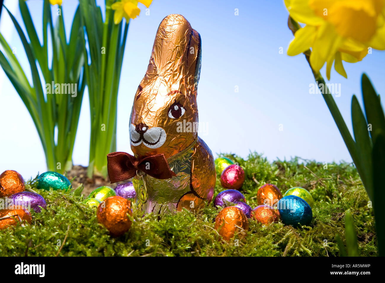 Chocolate hare, eggs and daffodils Stock Photo