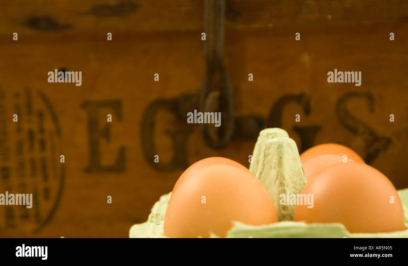 Eggs and old egg box Stock Photo