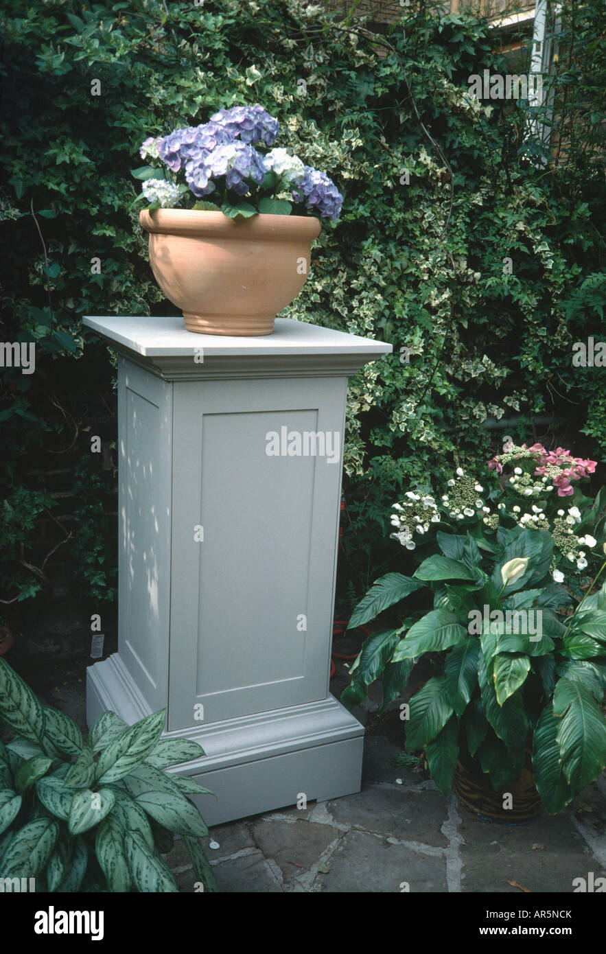 Hydrangea In Terracotta Pot On Small Outdoor Storage Cupboard In