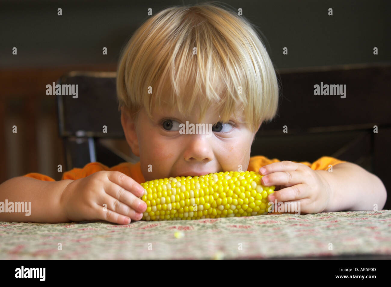 toddler eating corn on the cob Stock Photo Alamy