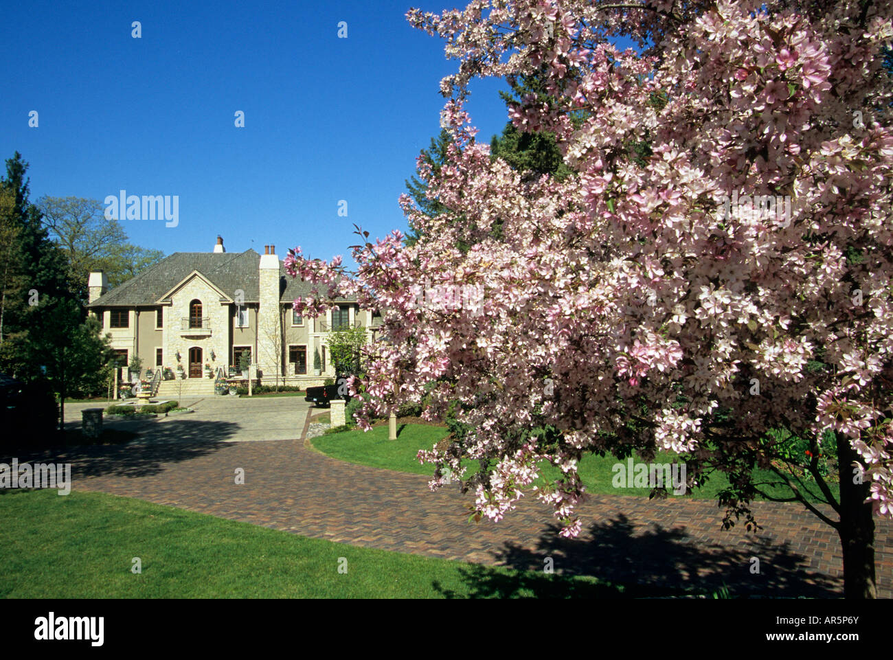 FLOWERING CRABAPPLE TREE FRAMES PHOTOGRAPH OF SUBURBAN MINNESOTA HOME