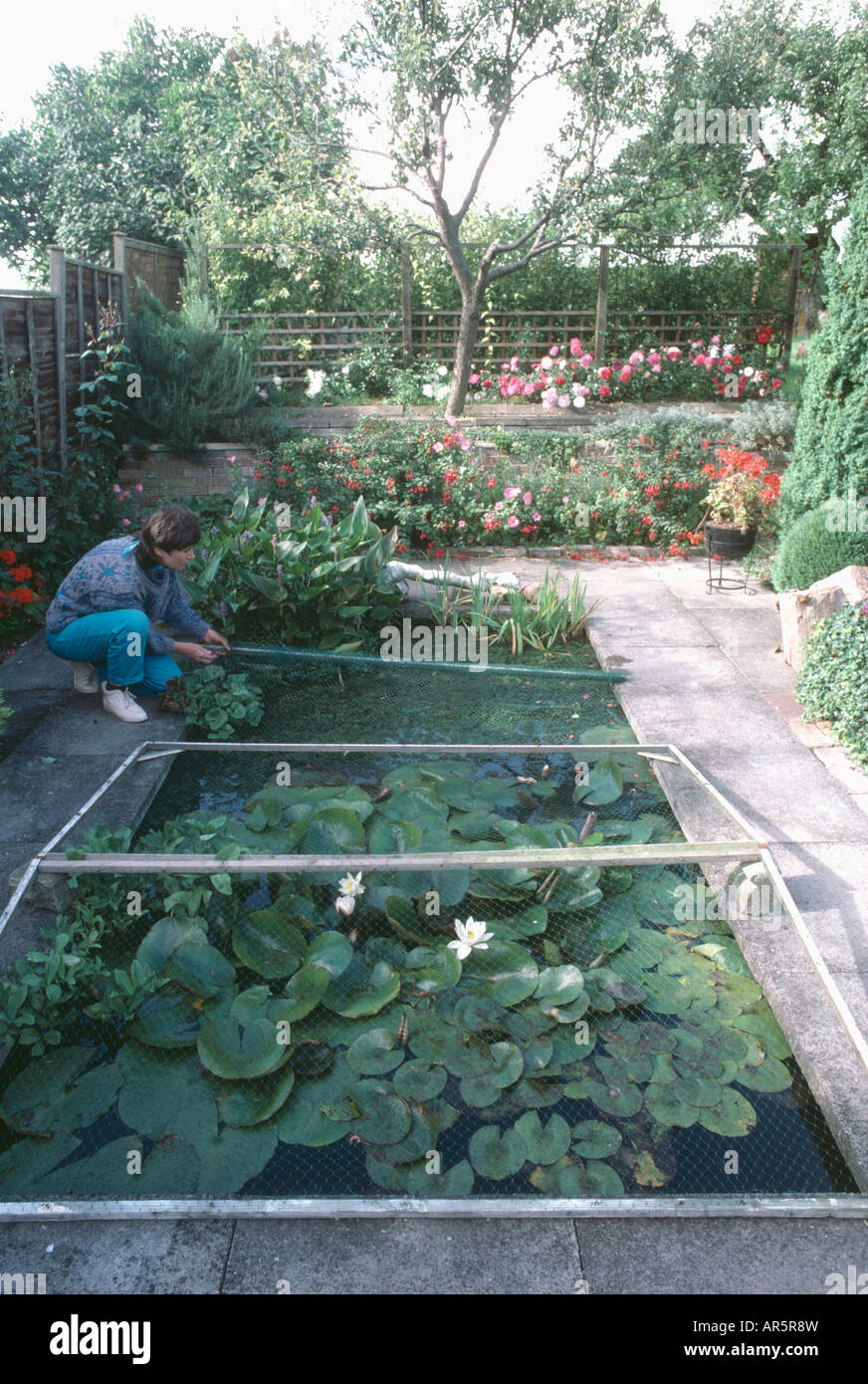 Netting garden pond hires stock photography and images Alamy