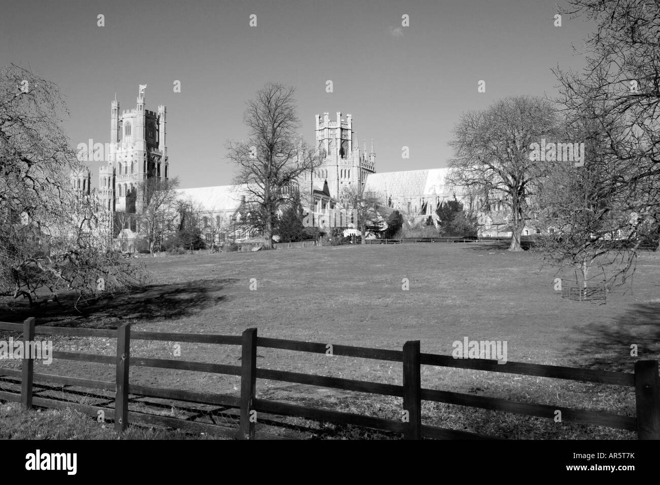 Ely Cathedral in black and white. Stock Photo