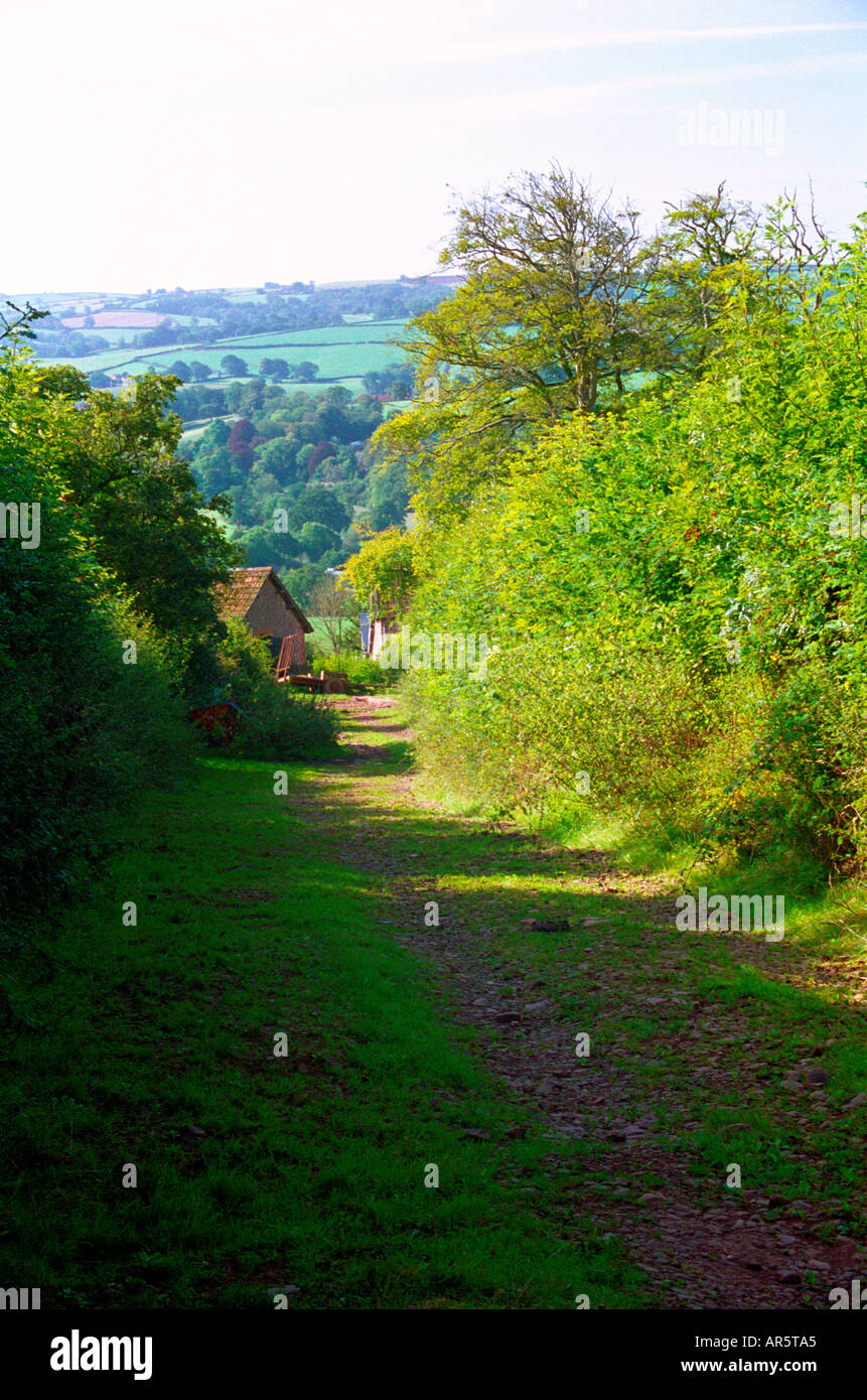 View down a farm track, Devon Stock Photo