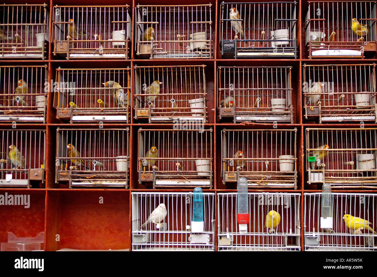 position of sale of caged birds Stock Photo