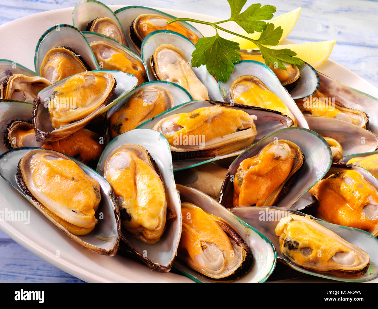 NEW ZEALAND GREEN SHELL MUSSELS Stock Photo