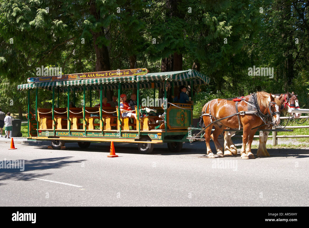 stanley park horse drawn carriage