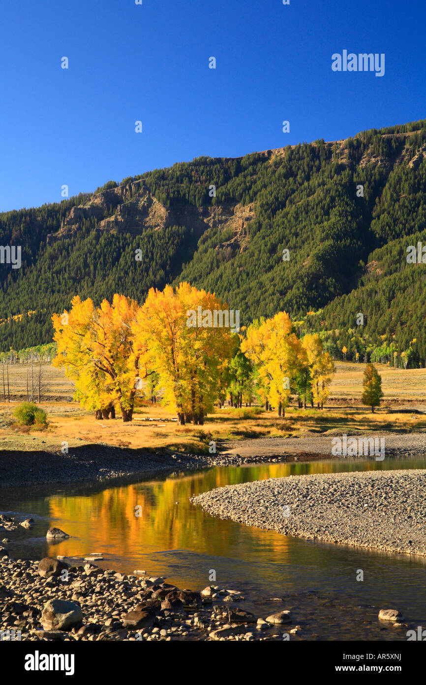 lamar-river-lamar-valley-yellowstone-national-park-wyoming-usa