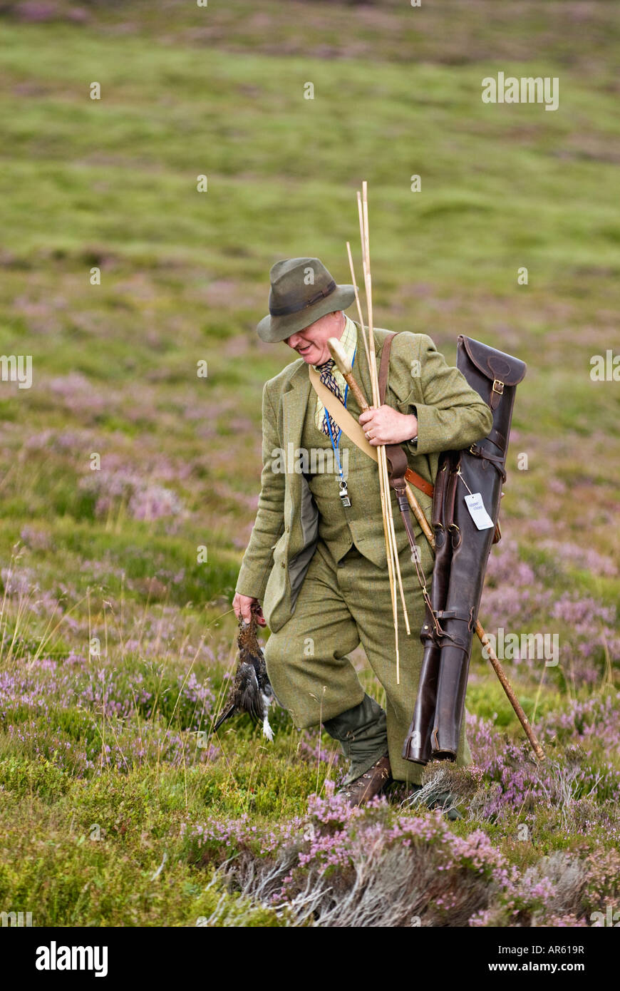 Scottish Loader Carrying Shotguns in Cases and Red Grouse across Heather Covered Moor Near Aviemore Scotland Stock Photo