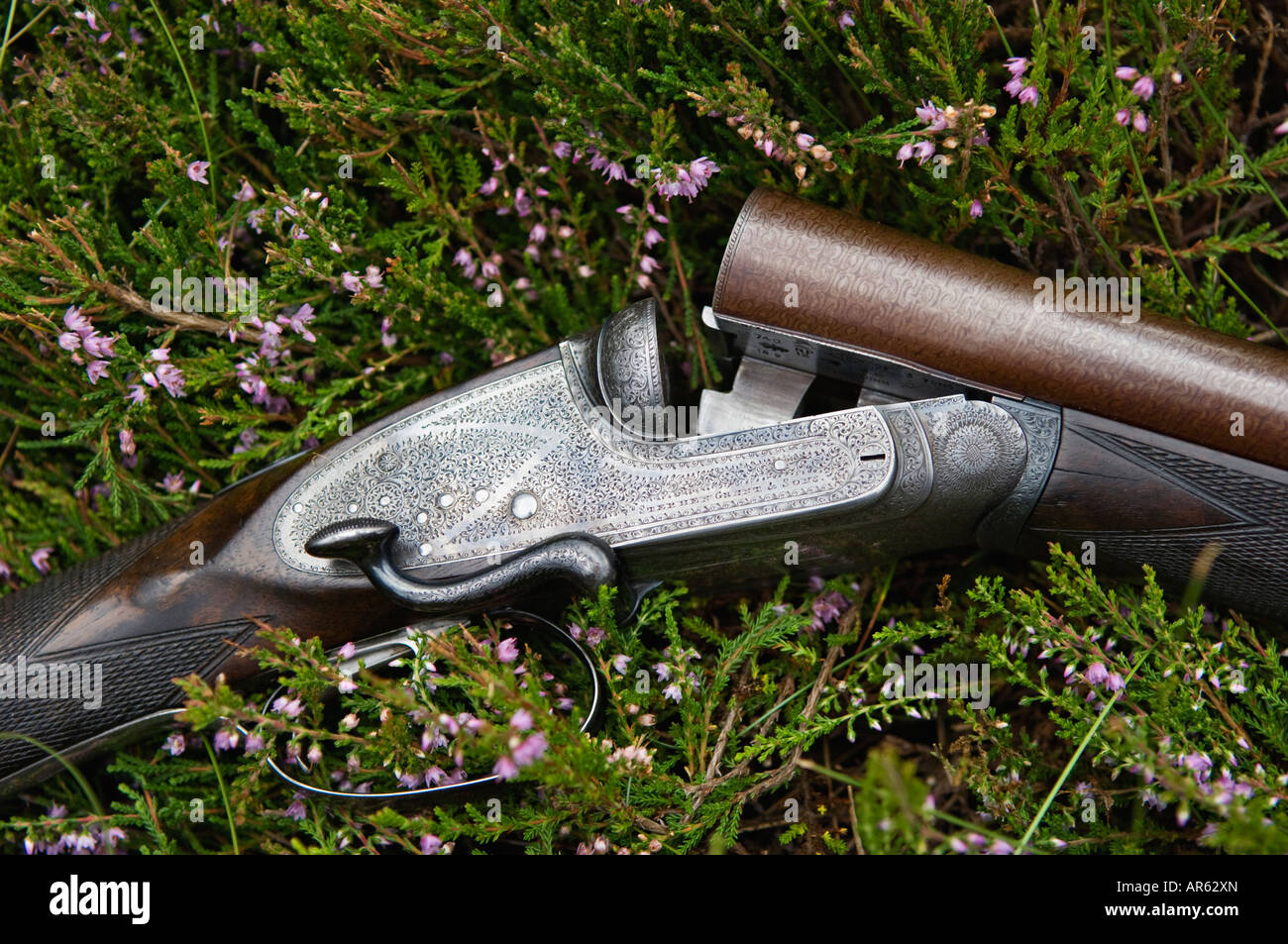 Stephen Grant and Sons Side Lever Twelve Bore Side by side Shotgun Lying in the Heather of a Scottish Moor Stock Photo