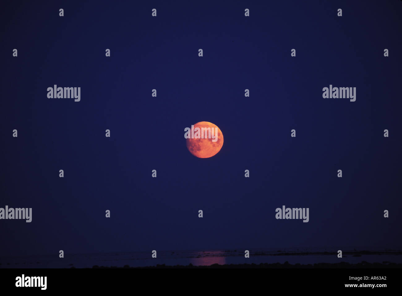 Full moon on tidal planes Tundra Manitoba Churchill and Seal River Area