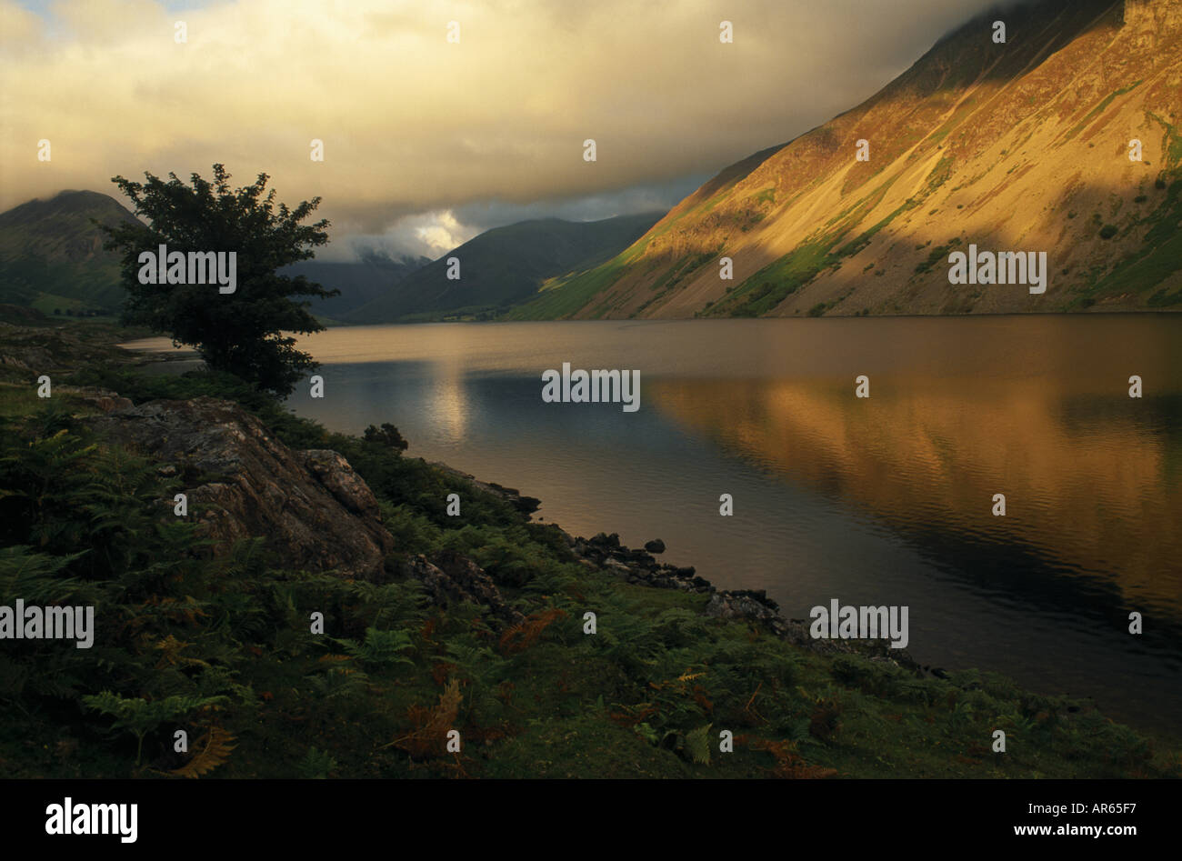 The view north east over Wastwater to The Screes Cumbria Stock Photo