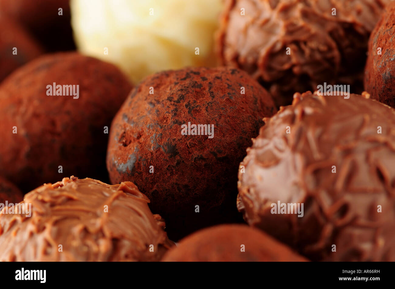 Several assorted gourmet chocolate truffles close up Stock Photo