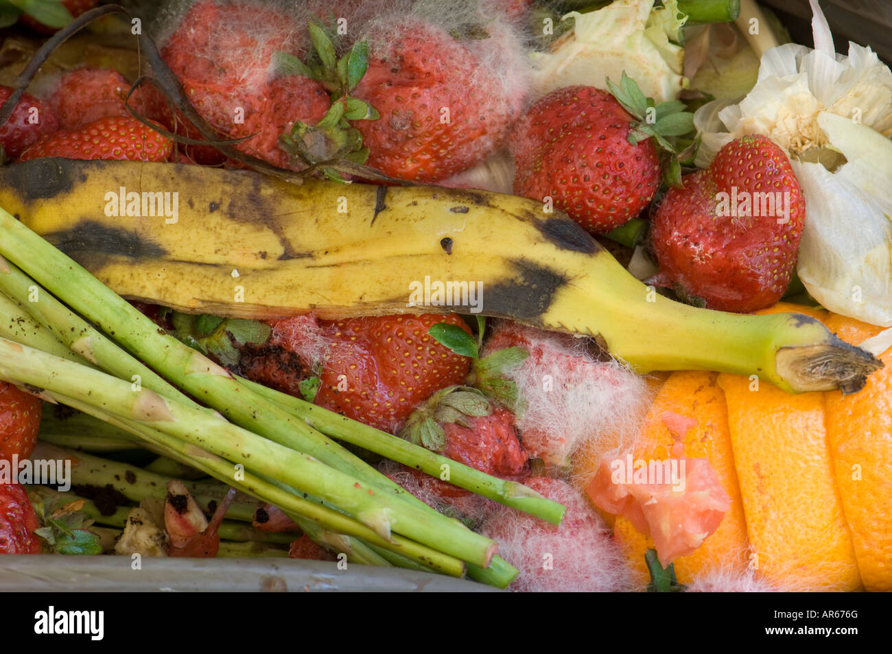 Organic garbage residues from a domestic recycling waste bin Stock Photo Alamy
