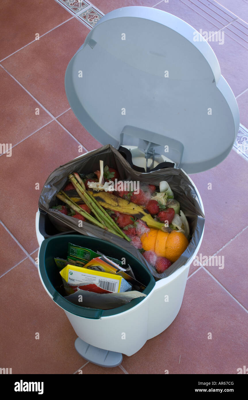 Organic garbage residues within a domestic recycling waste bin with ...