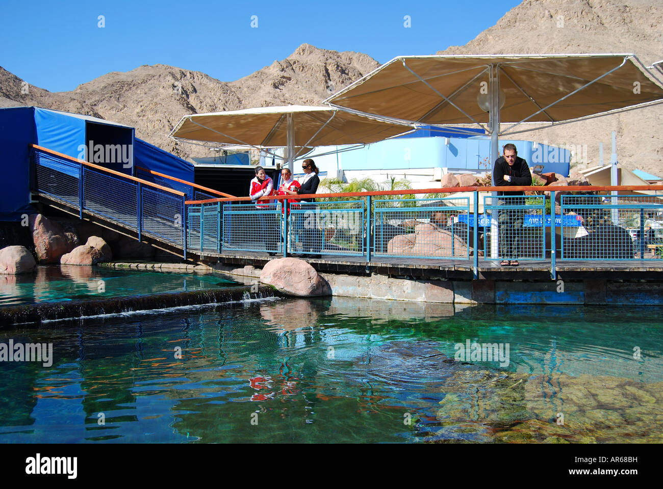 Outdoor turtle pools, Coral World Underwater Observatory and Aquarium