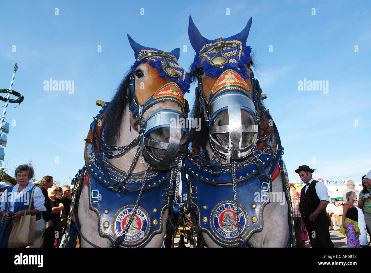 Horse team at the oktoberfest hires stock photography and images Alamy