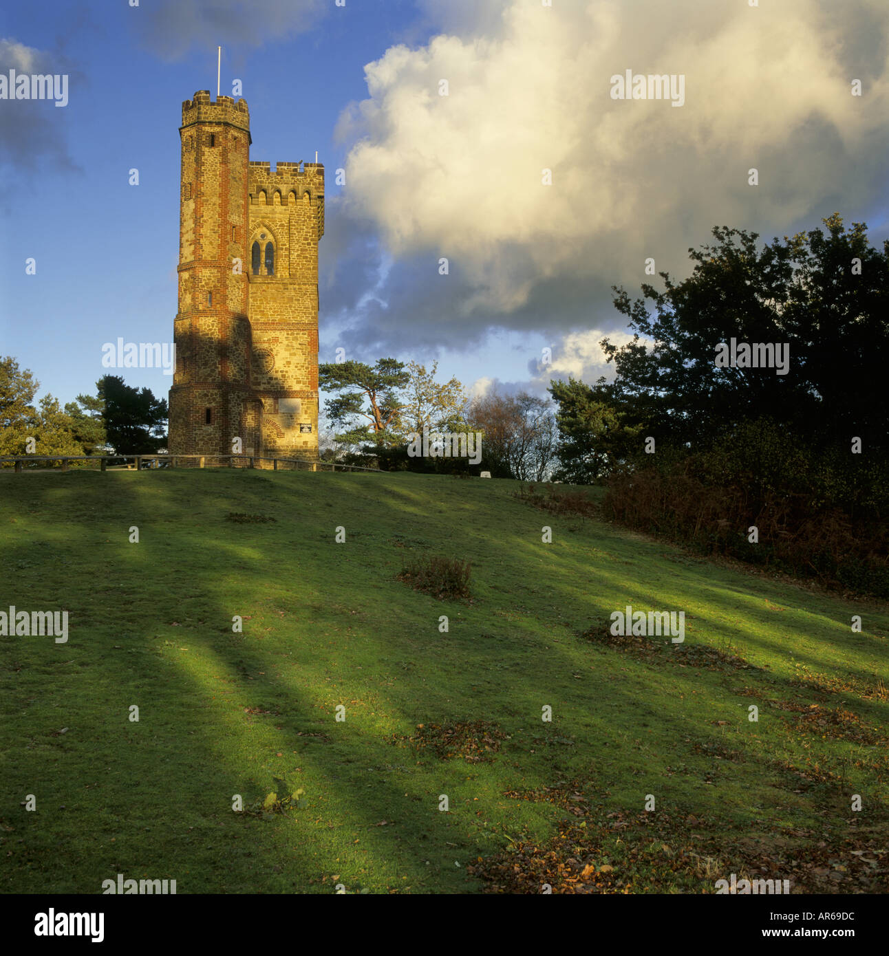 Leith Hill Summit Tower Surrey Stock Photo Alamy