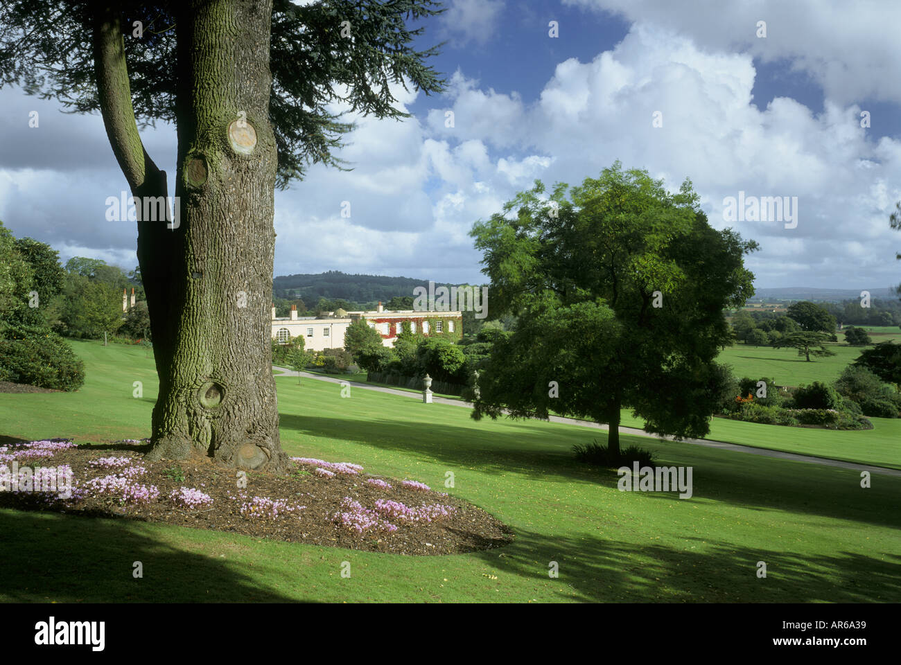Killerton Devon Stock Photo