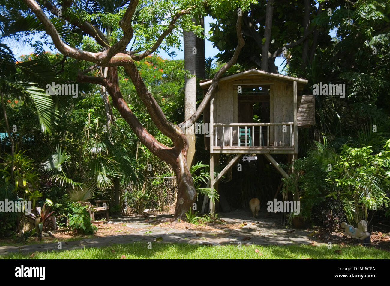 Undergrow Stock Photos Undergrow Stock Images Alamy