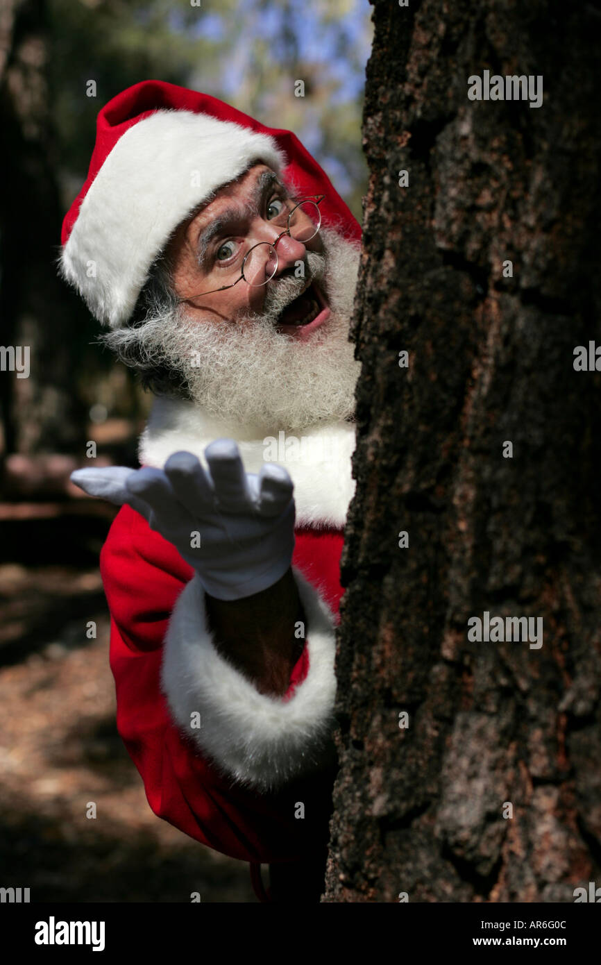 PORTRAIT OF FATHER CHRISTMAS APPEARING BEHIND A TREE Stock Photo