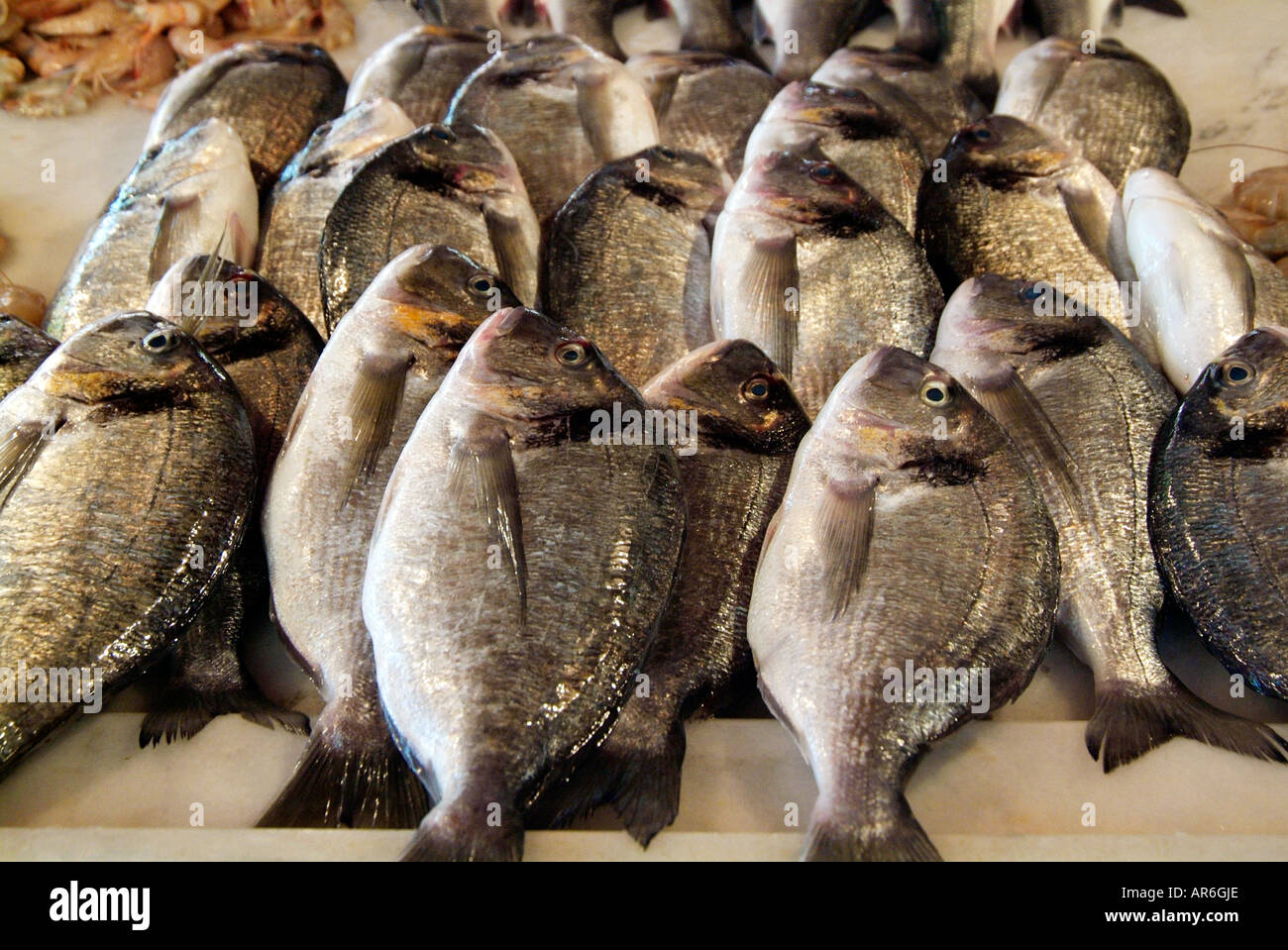How Many Pieces of Fish in a Slab