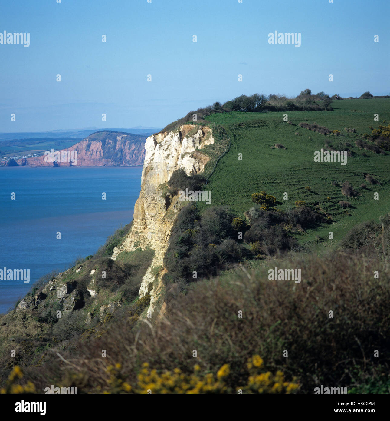 View from Coxes Cliff to coastal cliffs from chalk to red sandstone in Lyme Bay Devon Stock Photo