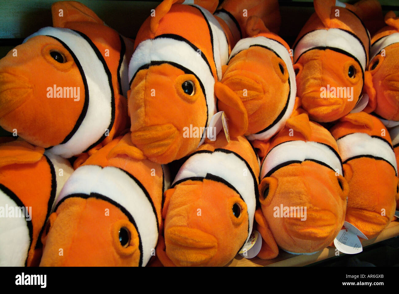 orange fish toy