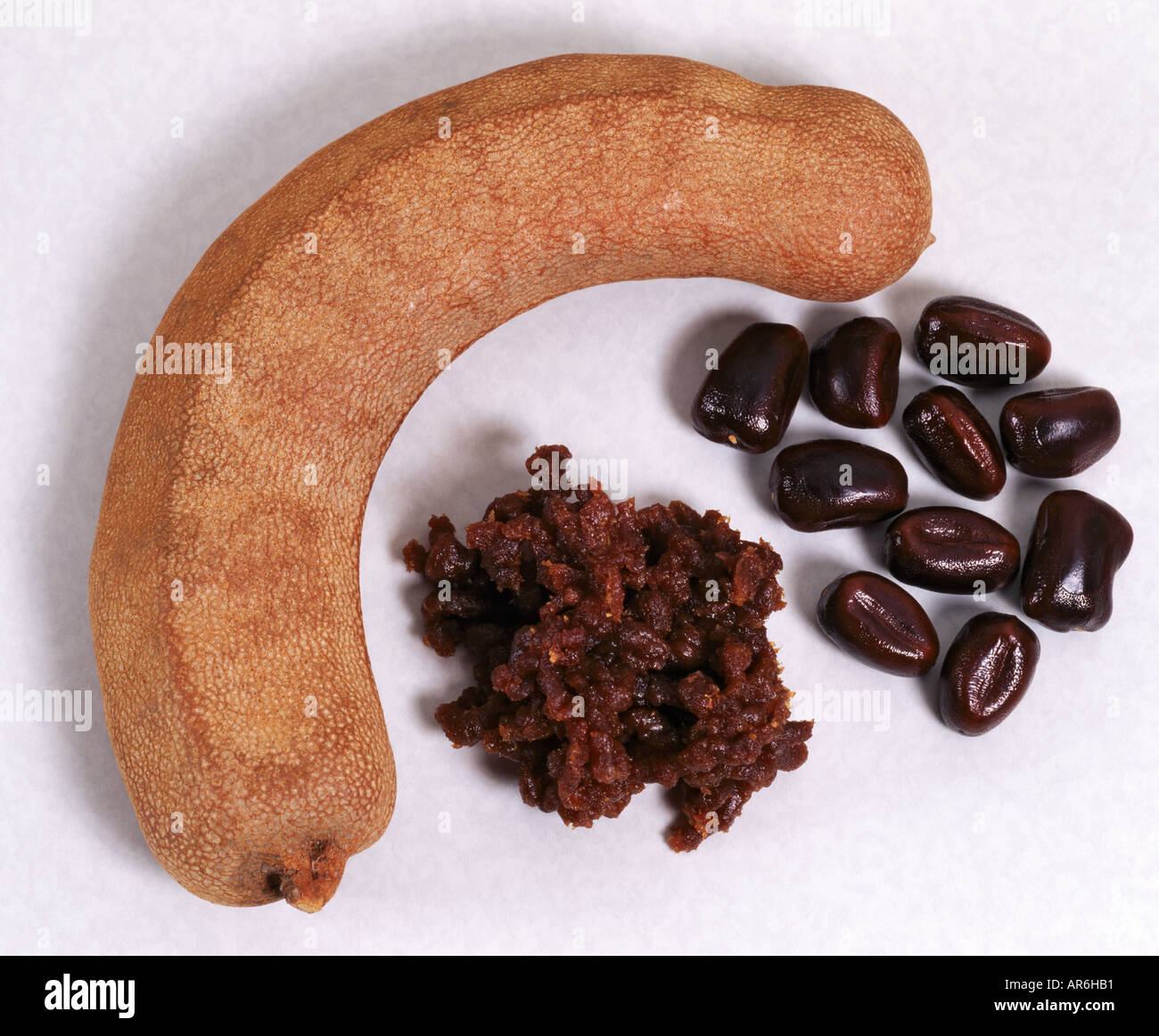 Tamarind Pod Pulp And Seeds Tamarindus Indica L Stock Photo Alamy Tamarind Pod Pulp And Seeds Tamarindus Indica L Stock Photo Alamy