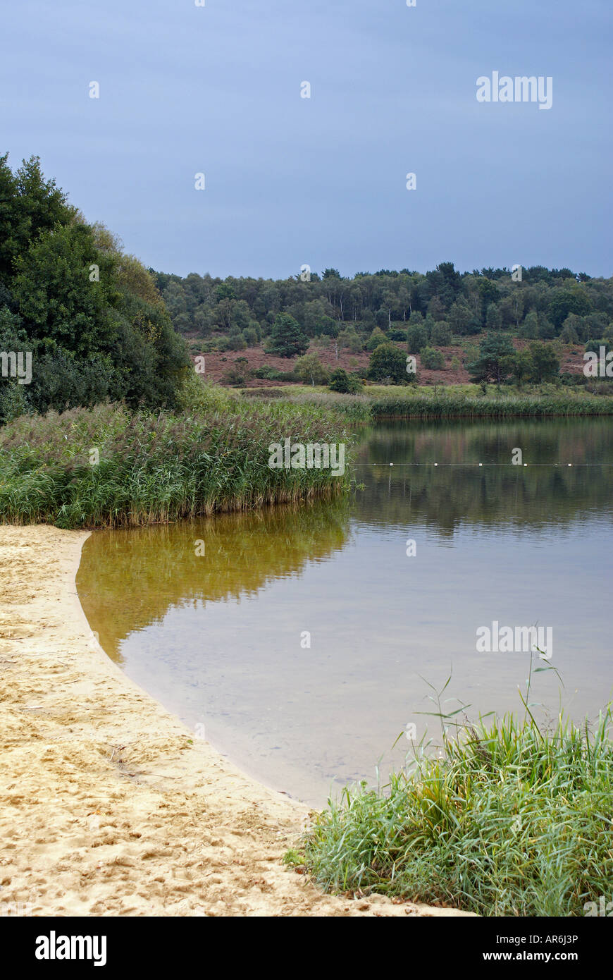 Frensham Great Pond near Farnham in Surrey Stock Photo