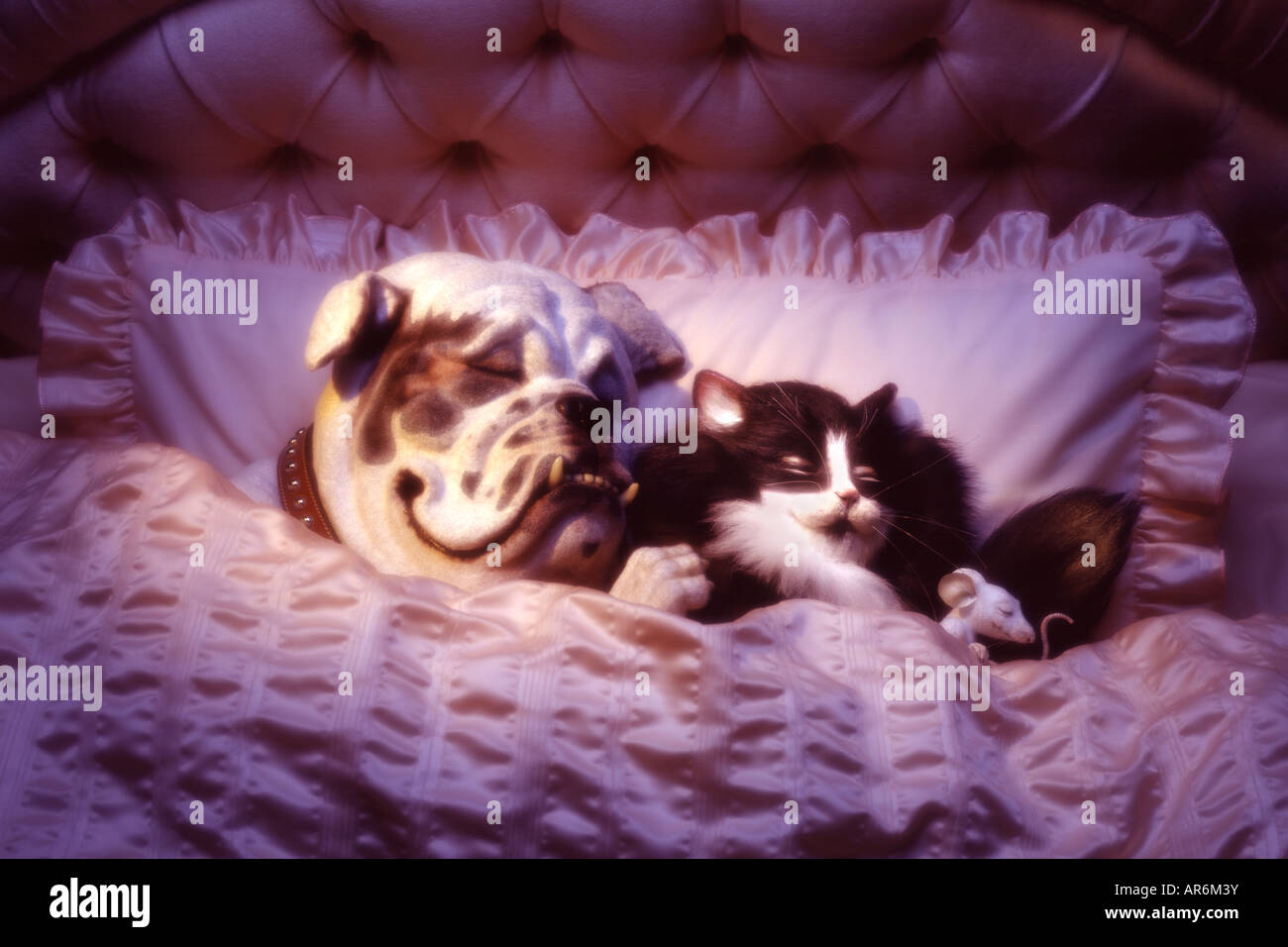 Dog cat mouse hires stock photography and images Alamy