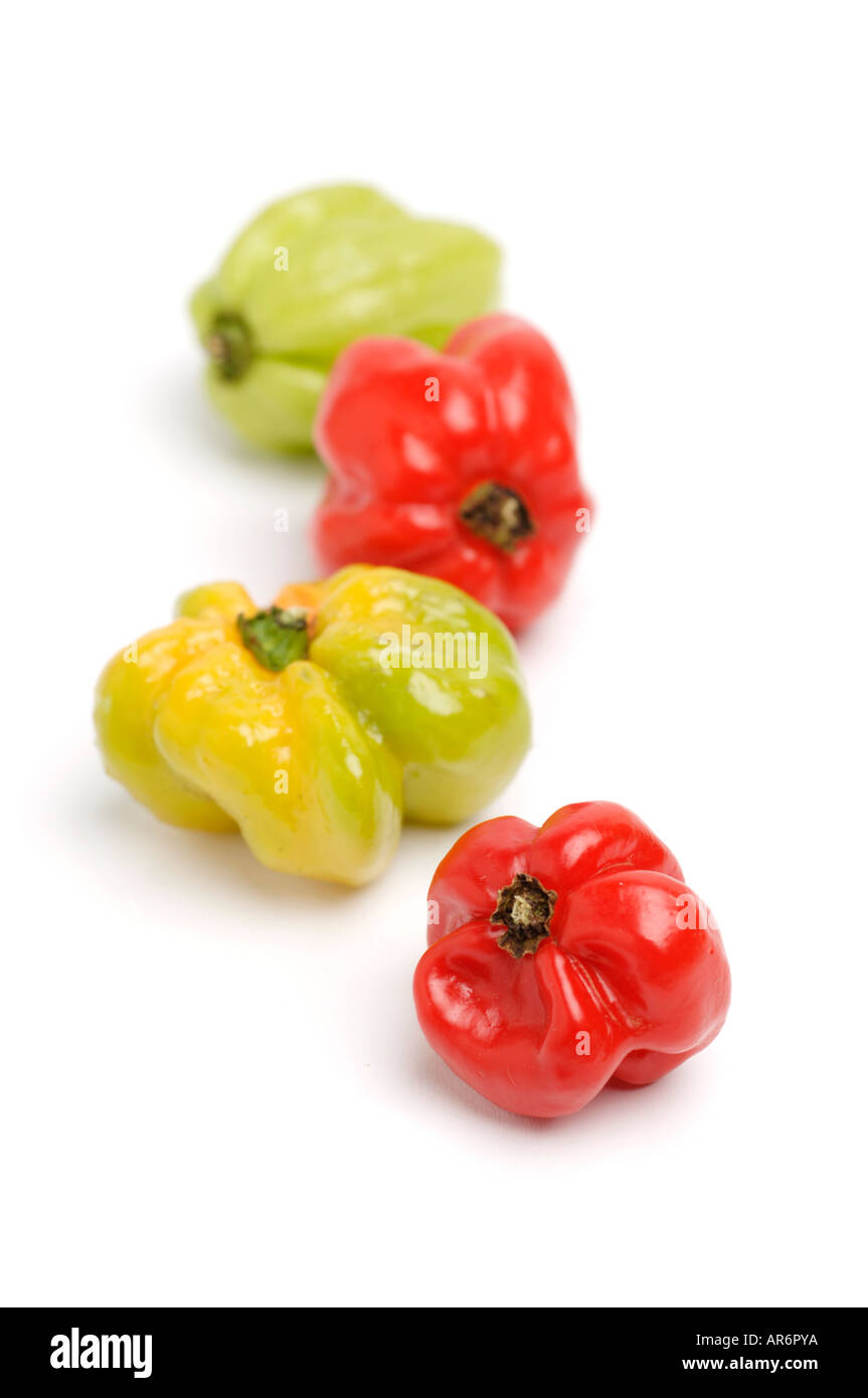 Scotch Bonnet chilli peppers on white background Stock Photo - Alamy