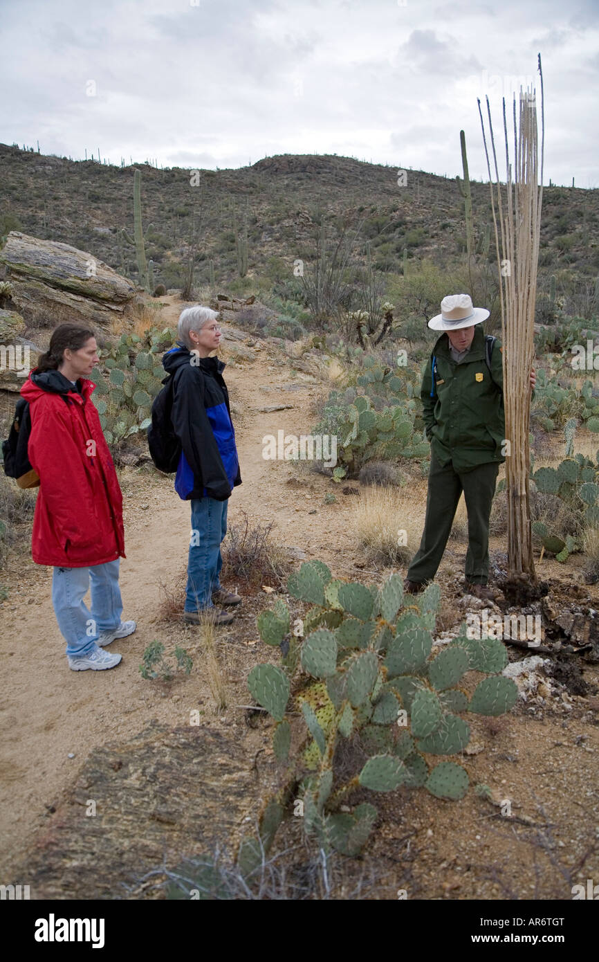 Ranger leads nature hike in Saguaro National Park Stock Photo
