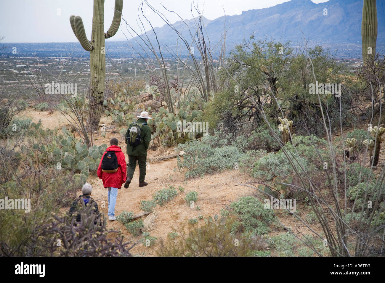 Ranger leads nature hike in Saguaro National Park Stock Photo