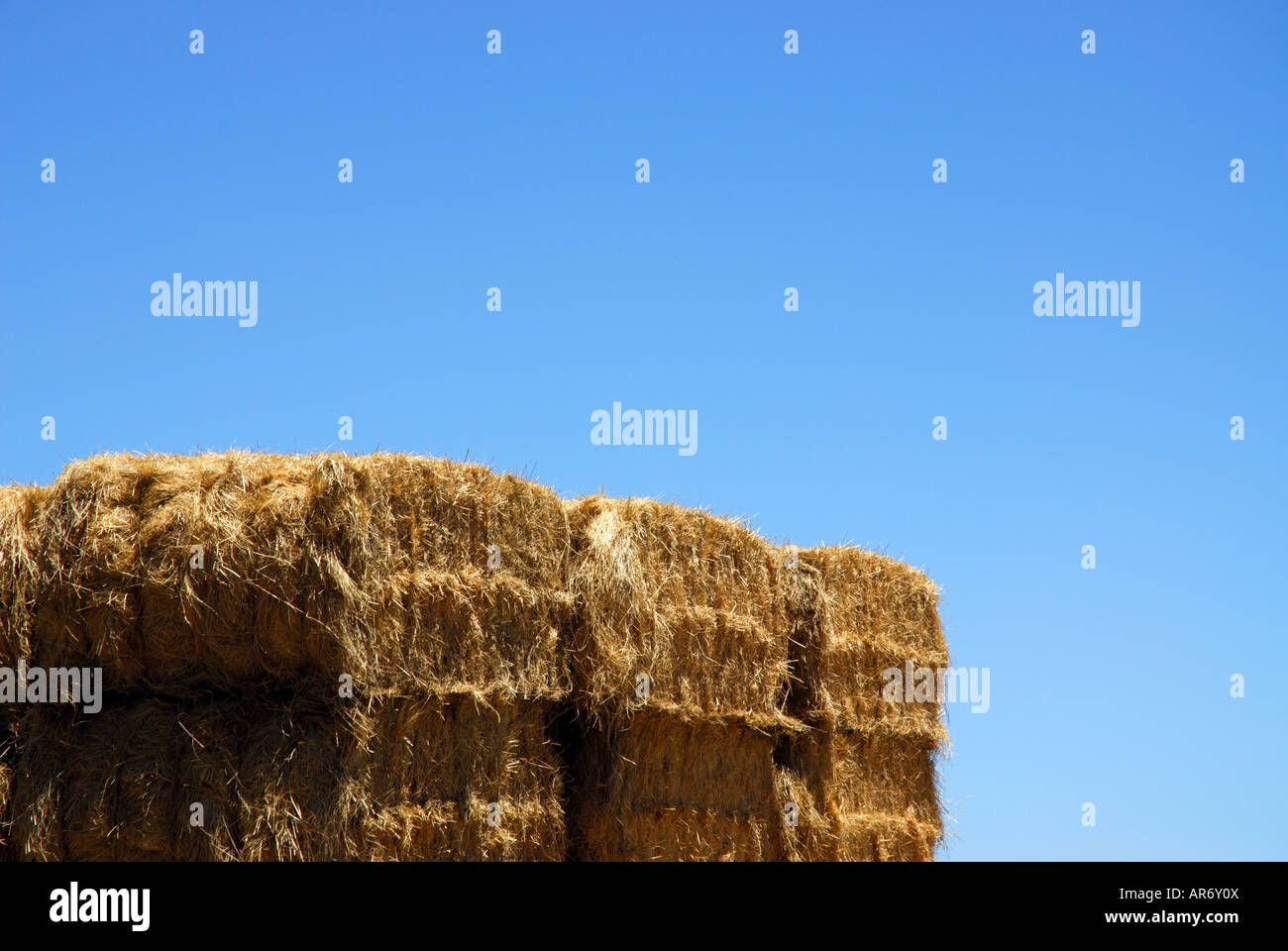 Hay bales and blue sky Stock Photo - Alamy