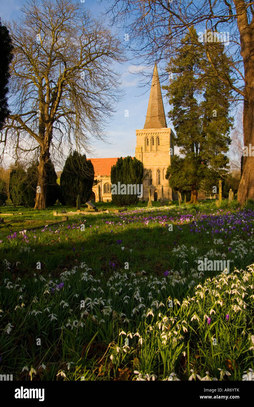St Michaels Church Stoke Prior Stock Photo Alamy