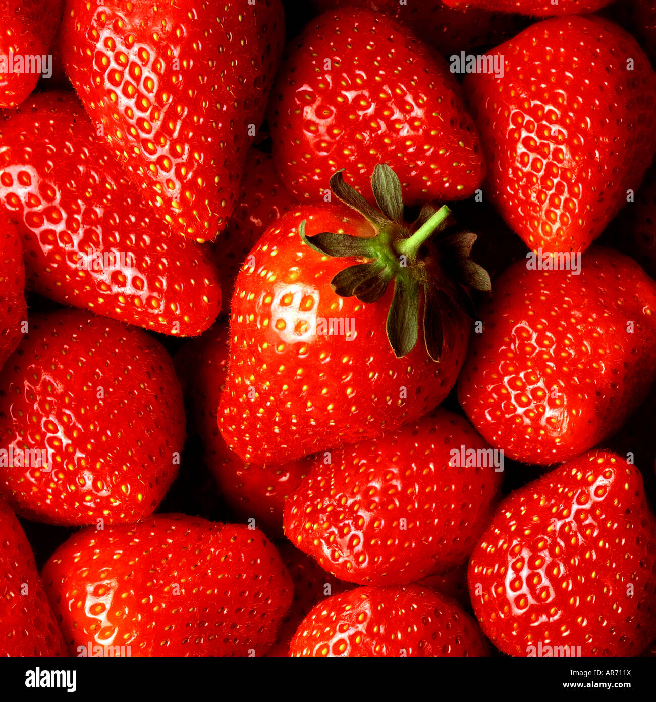 FRESH STRAWBERRIES CLOSE UP WITH ONE 'HERO' STRAWBERRY IN THE CENTRE OF THE SHOT Stock Photo