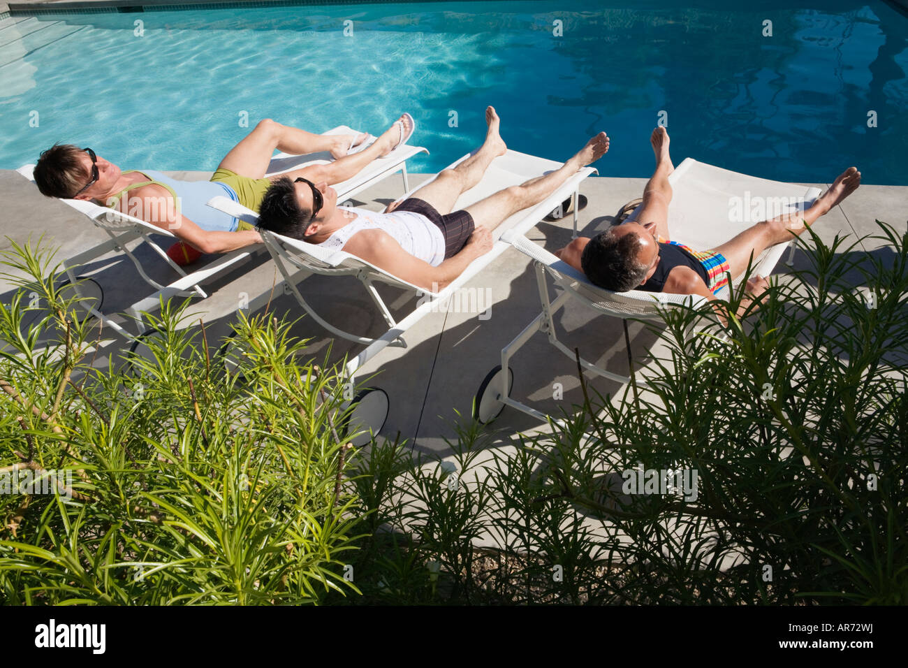 Men relaxing in lawn chairs beside swimming pool Stock Photo Alamy