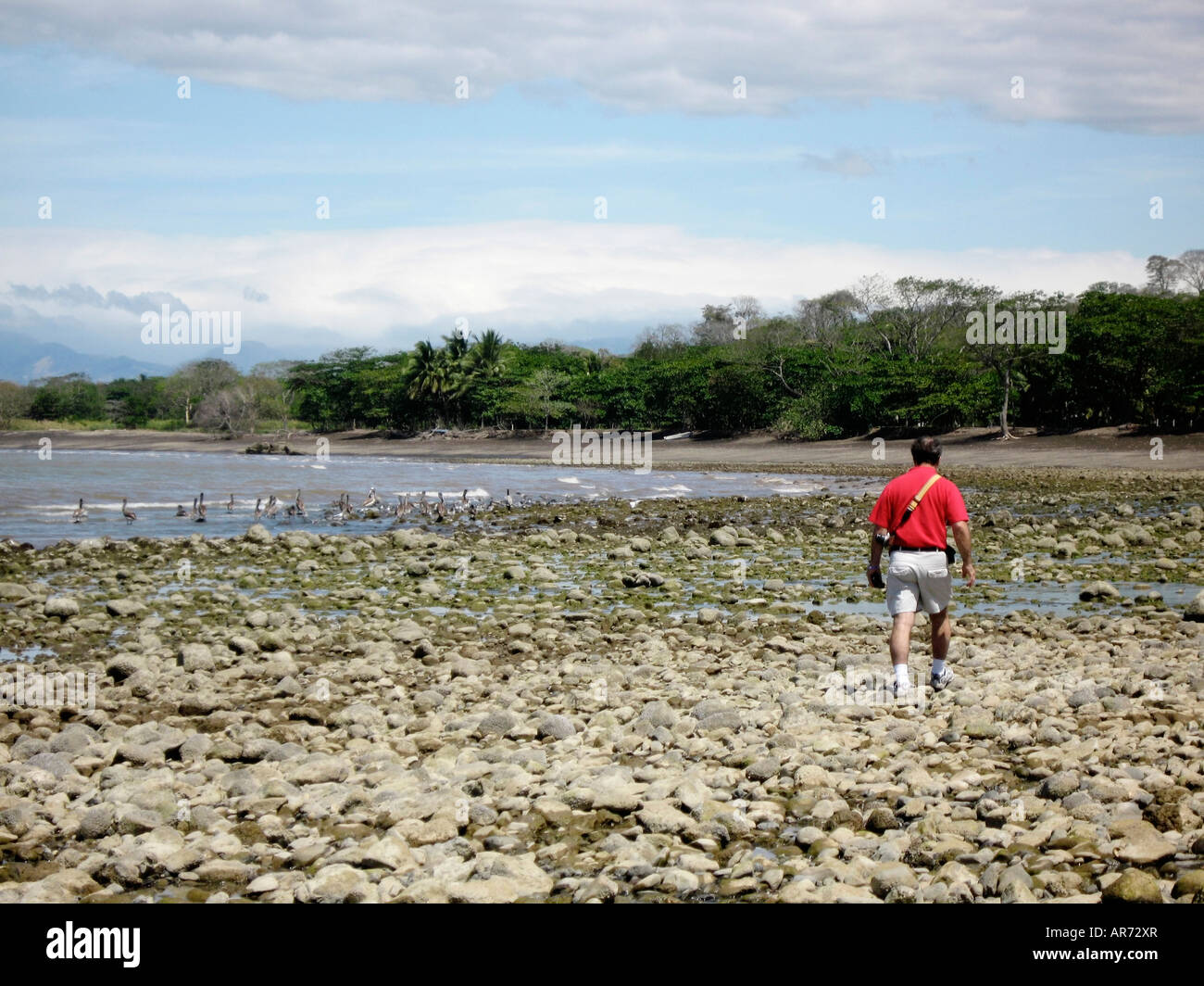 Man walking on rocks at the beach Stock Photo