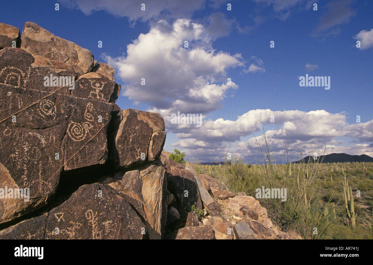 Indian petroglyphs cover a pile of rocks in Saguaro National Park in the sonoran desert near Tucson Stock Photo