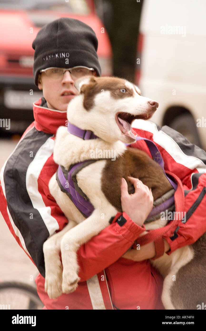 Dog Sports Scotland a pet husky dog getting a cuddle Ae Forest Dumfries and Galloway Scotand UK Stock Photo